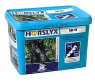 Horslyx Mint Balancer vitamínový liz 5kg