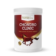 HorseLinePRO Chondro Clinic pre konské kĺby