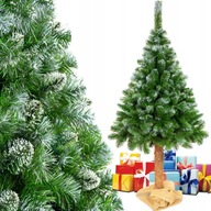 Vianočný stromček diamantová borovica na kmeni 180 cm + taška