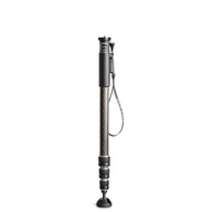 Monopod Gitzo GM2542 Series 2 164 cm 35 kg