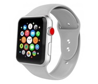 Tech-Protect Iconband pre Apple Watch sivý