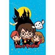 HARRY POTTER fleecová deka 100x150 cm