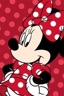 MINNIE MOUSE 100x150 DISNEY PRIKRÝVKA PRE DETI PEKNÁ MINI