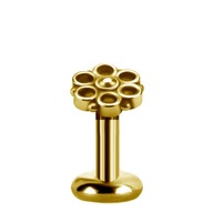 SS316L GOLD PVD labret 1,2x6 tl 0,8 mm m39