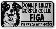 Pozor pes Border Collie sign