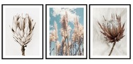 OBRAZOVÝ PLAGÁT V RÁME Triptych Boho P2096 33x43cm