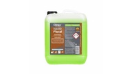 NANO PROTECT FLORAL 5L CLINEX