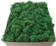 Odrezky machu Dark Green Cardboard 1kg