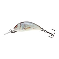 Wobler Salmo Hornet FL real dace QHT016