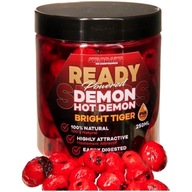 Tiger Walnut Starbaits Ready Bright Tiger Demon