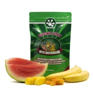 Pangea Watermelon 56g krmivo pre brvitých gekónov