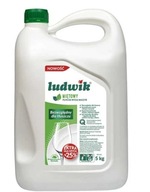 Ludwik, Mint prostriedok na umývanie riadu, 5 l