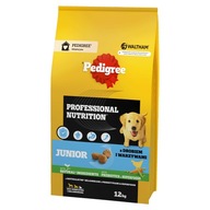 PEDIGREE Junior suché krmivo pre šteňatá s hydinou 12 kg