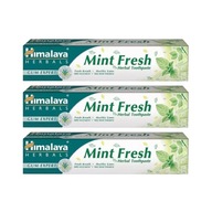 3x Himalaya Herbals Herbal Mint Fresh bylinná zubná pasta 75ml SET