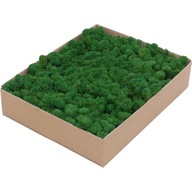 Moss Chrobotek PREMIUM Forest Bottle Green 1kg