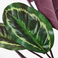 IKEA CALATHEA MEDALION umelá rastlina 100 cm