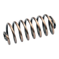 Seat Spring 5