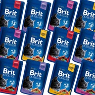 Brit Premium Mokré krmivo pre mačky Mix príchutí 24x 100g