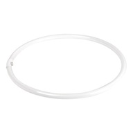 Žiarovka (žiarivka) pre Ring 18' 55W lampu