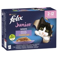 FELIX FANTASTIC JUNIOR 12x85g MIX CHUTÍ