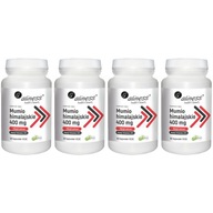 4xMUMIO Himalájsky 400mg EXTRAKT SHILAJIT Aliness