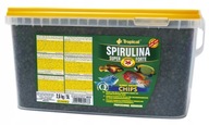 TROPICKÁ SPIRULINA SUPER FORTE CHIPS 36% 5l 2,6kg