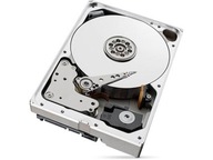 Disk SkyHawkAI 10TB 3.5 256MB ST10000VE001