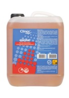 CLINEX EXPERT 5L čistič motora