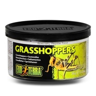 EXO TERRA Grasshoppers kobylka v konzerve