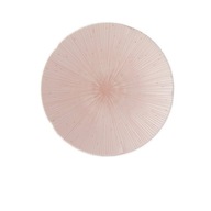 pass ICE Ružový jedálenský tanier 24,5 cm.