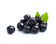 EQUIHERBS, Byliny pre kone - ARONIA 1 kg