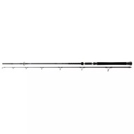 Prút DAIWA POWERMESH CATFISH 2,45m 0-190g