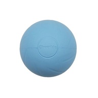 Cheerble Interactive Pet Ball W1SE