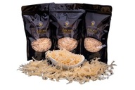 FRESH IRISH MOSS Írsky mach RAW VEGAN 500g PL