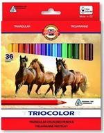 Pastelky KOH-I-NOOR Jumbo Triocolor 36 farieb 3145