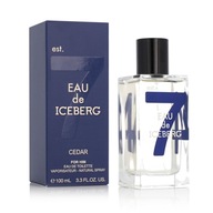 Iceberg Eau De Iceberg Cedar For Him 100 ml edt toaletná voda pre mužov