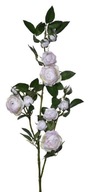WILD ROSE umelá ruža konárik ozdobné kvety PRÁŠKOVÁ RUŽOVÁ krémová 80 cm