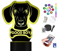 Stolná lampa Dachshund Dog 16 col. LED PLEXIDO