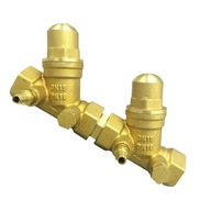 Brass Swing Way Unhorizontal BSP DN25