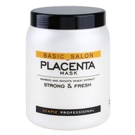 Stapiz BasicSalon Mask Placenta 1L