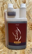 Over Horse Bronchi Equus 1L