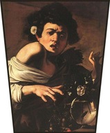 Obrazovka Chlapec uhryznutý (…) Caravaggiom