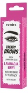 VENITA Stylingové lepidlo na lamináciu obočia Trendy Brows 8g