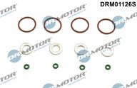 DR.MOTOR DRM01126S Sada tesnení, hrot trysky