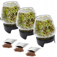 3 ks JAR GERMINANT + SEEDS BROWIN SET