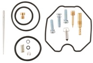 Súprava na opravu karburátora CAN-AM DS 250 10-18
