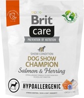 BRIT CARE VÝSTAVNÝ ŠAMPIÓN LOSOS SLEĎ 1kg