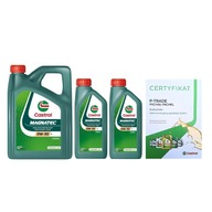 Castrol Magnatec Stop-Start 0W-30 D ford 6L - certifikát