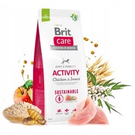 Brit Sustainable Activity Insect 12 kg (hmyz)