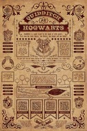 Plagát Harry Potter Metlobal Rokfort 61x91,5 cm